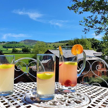 The Granary Apartment Ruthin Bagian luar foto